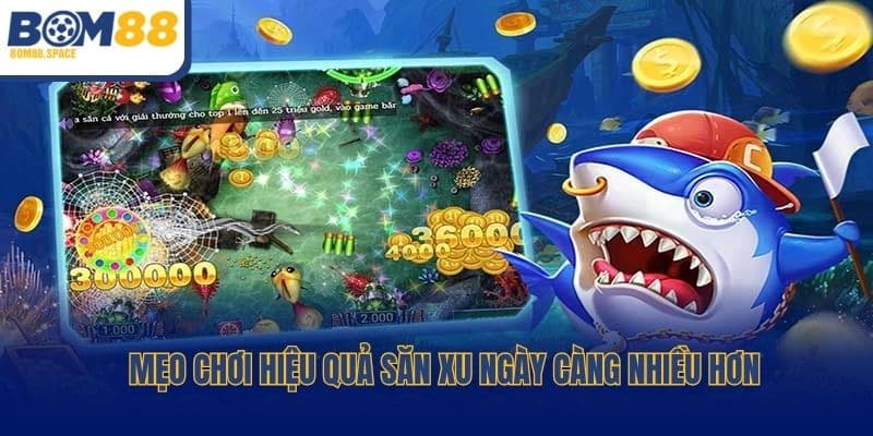Mẹo chơi hiệu quả săn xu ngày càng nhiều hơn