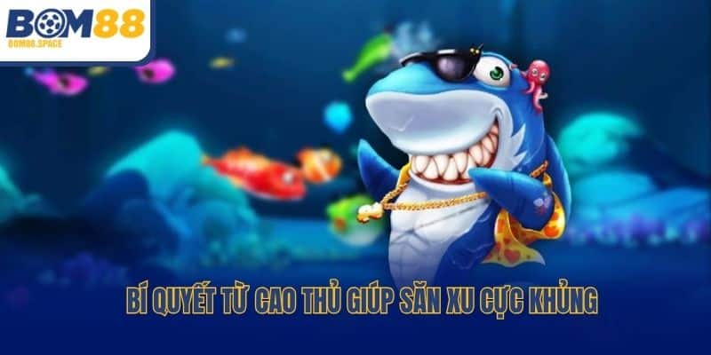 Bí quyết từ cao thủ giúp săn xu cực khủng