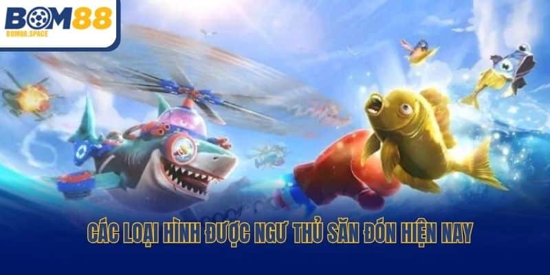 Các loại hình được ngư thủ săn đón hiện nay