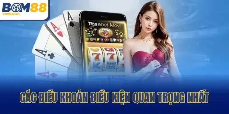Các điều khoản điều kiện quan trọng nhất