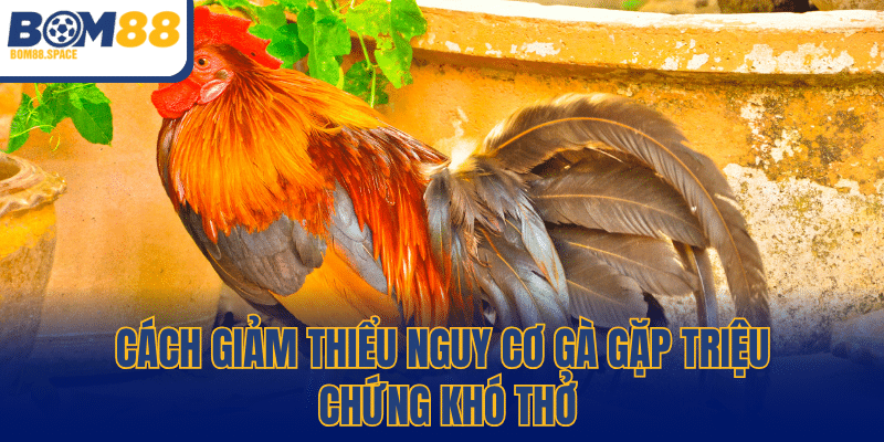 Cách giảm thiểu nguy cơ gà gặp triệu chứng khó thở