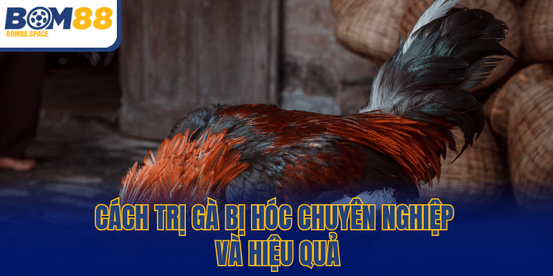 Cách trị gà bị hóc chuyên nghiệp và hiệu quả