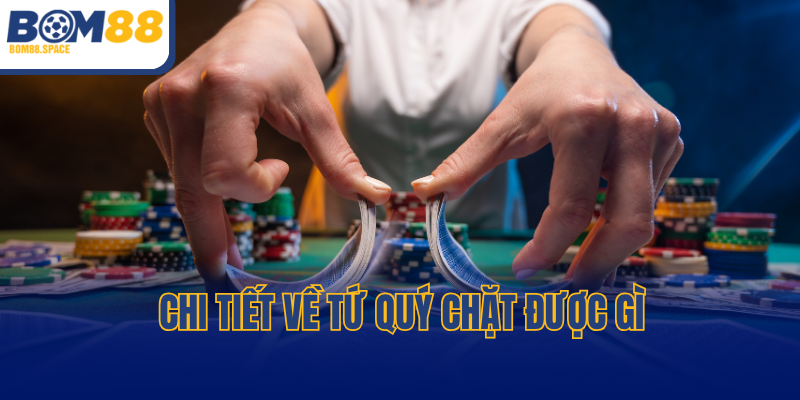 Chi tiết về tứ quý chặt được gì