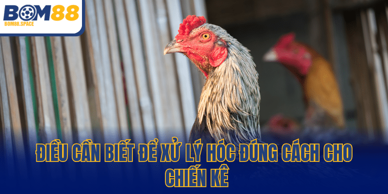 Điều cần biết để xử lý hóc đúng cách cho chiến kê