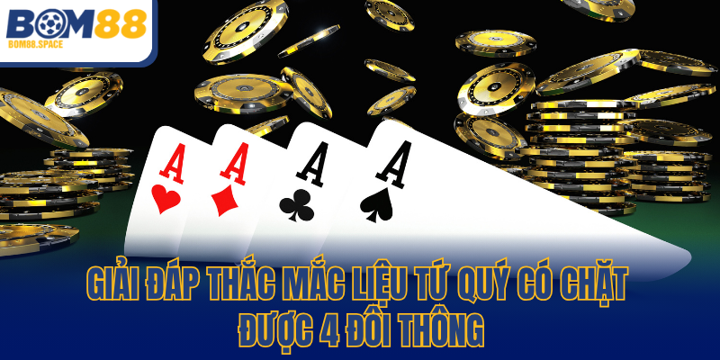 Giải đáp thắc mắc liệu Tứ Quý có chặt được 4 đôi thông