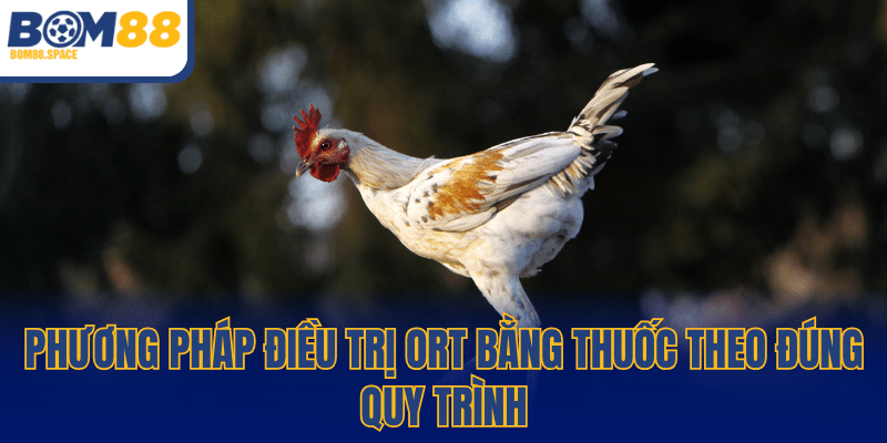 Phương pháp điều trị ORT bằng thuốc theo đúng quy trình