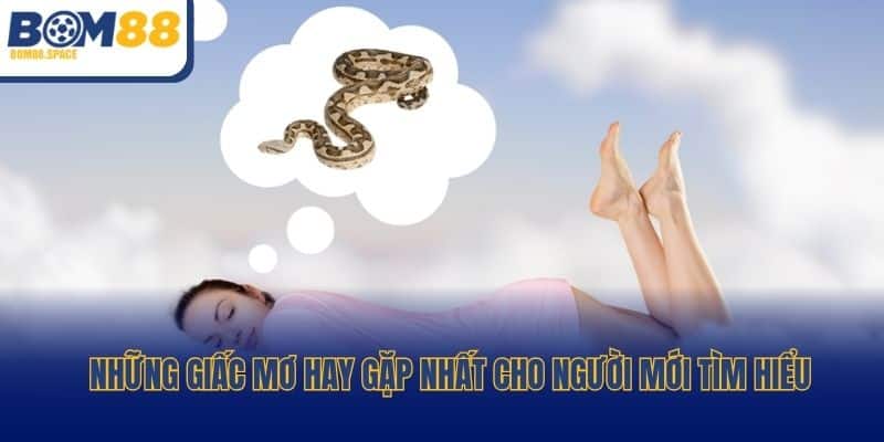 Những giấc mơ hay gặp nhất cho người mới tìm hiểu