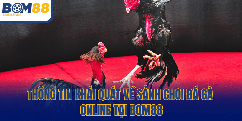 Thông tin khái quát về sảnh chơi đá gà online tại BOM88