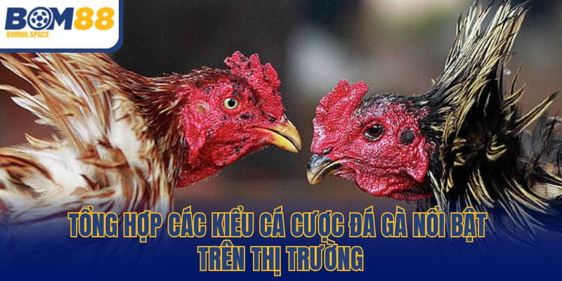 Tổng hợp các kiểu cá cược đá gà nổi bật trên thị trường